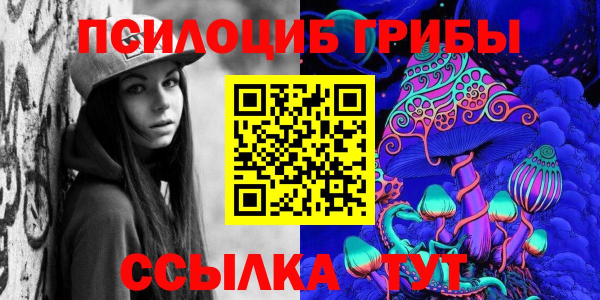 Галлюциногенные грибы Psilocybe Новотроицк